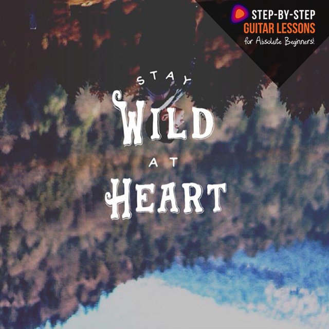 newbiesguitar's tweet photo. Stay WILD at Heart. Become a Guitarist! 💛🎸⭐

https://t.co/7WdM202A1q
#guitarlessons #learnguitar #guitarlove #guitargirl #stepbystepguitarlessons #beginnerguitar #guitar https://t.co/fRkCW1Yofg