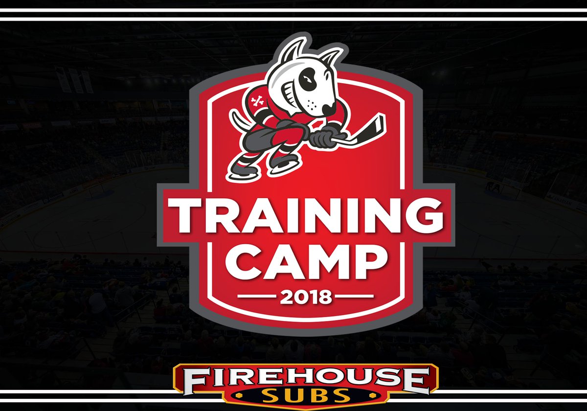 OHLIceDogs's tweet photo. #DogsTrainingCamp Black and White Game rosters released.
DETAILS 👉 https://t.co/enEWPoaMOv https://t.co/4ML3igVKAn