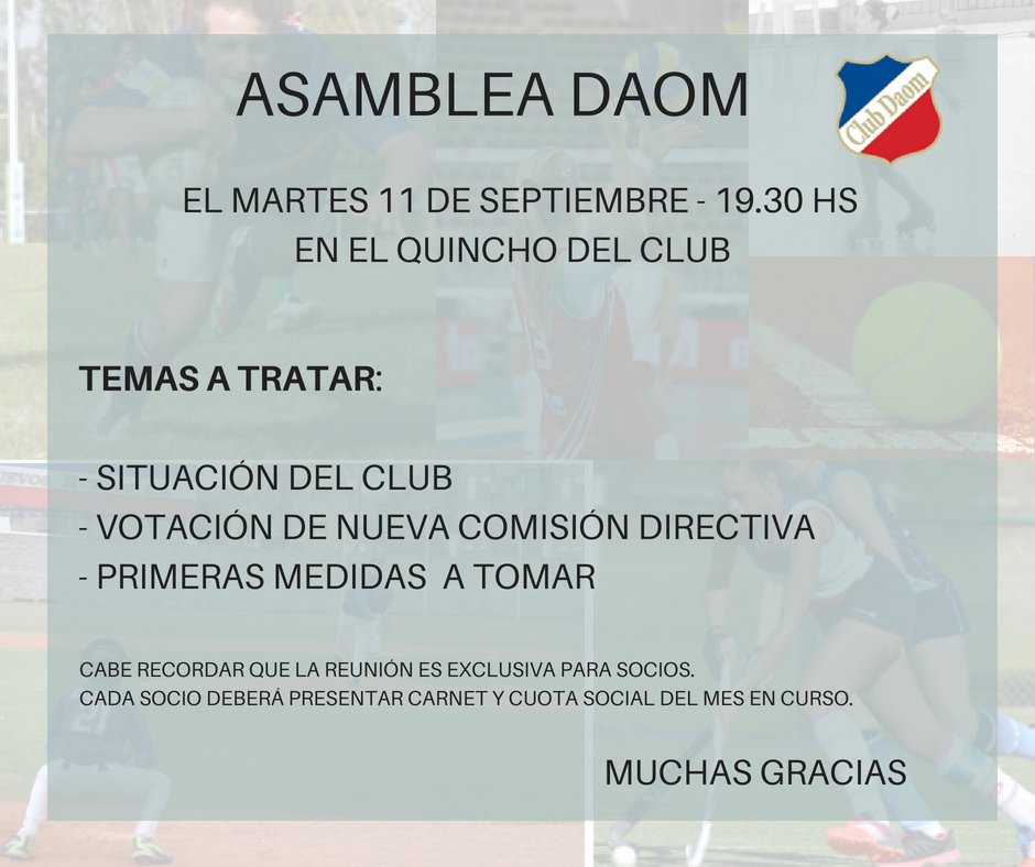 Club Daom tweet media