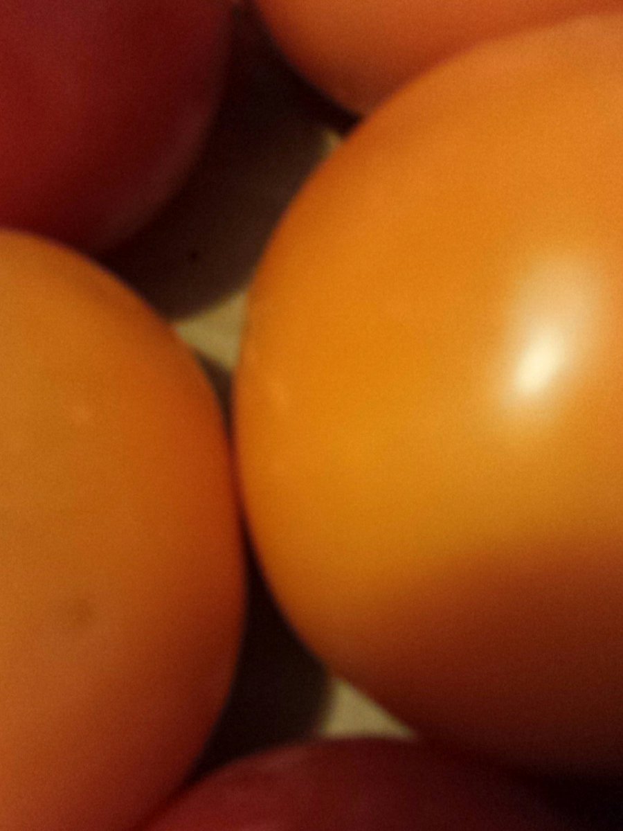 Something tasty and beautiful! What could it be!