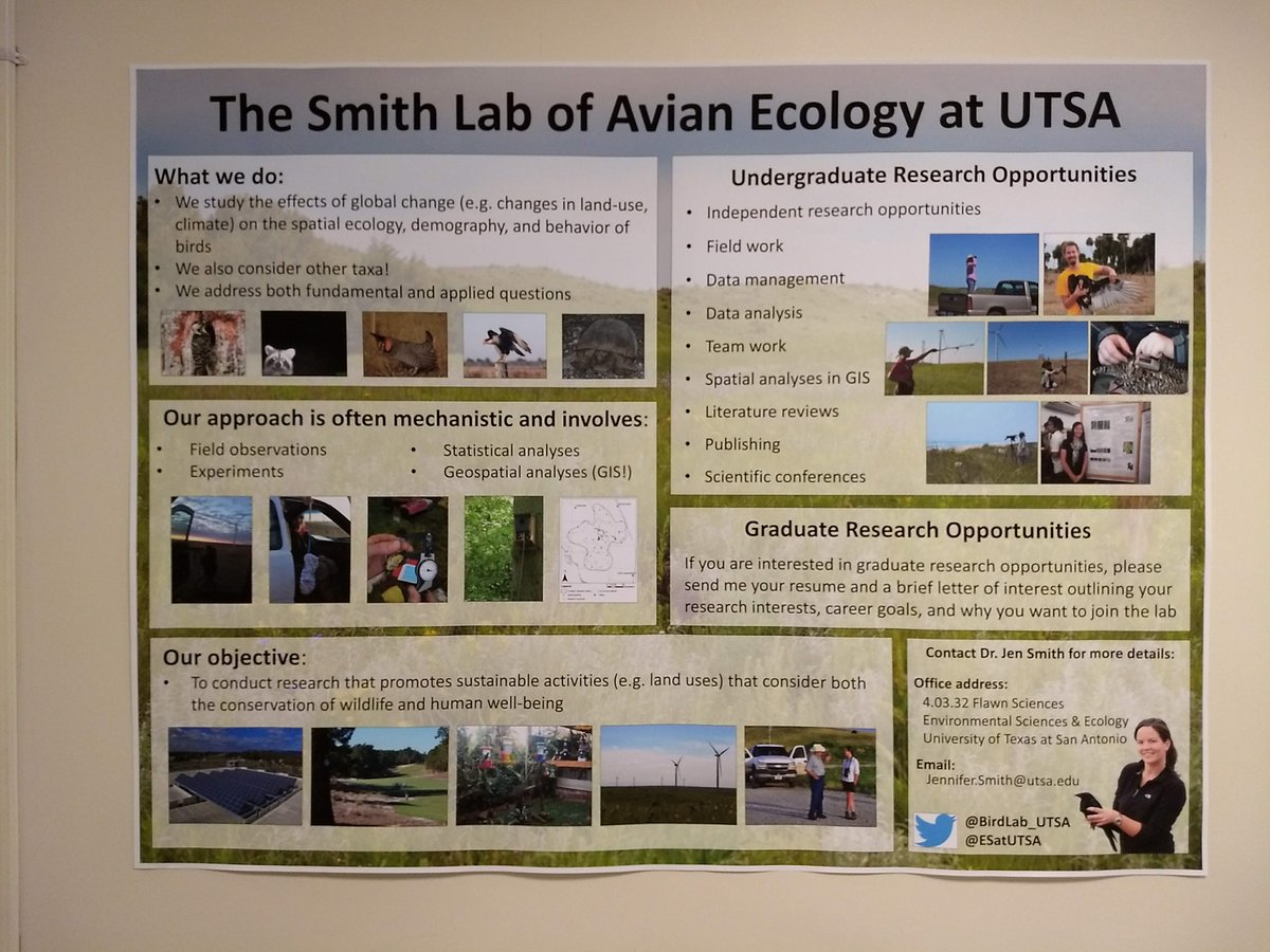 Interested in joining the NEW Smith Lab of Avian Ecology at #UTSA?! Come check out our poster in the Environmental Sciences and Ecology corridor to find out more! @ESatUTSA @UTSASciences @Jen_A_Smith1 #ornithology #UndergraduateResearch #GraduateResearch