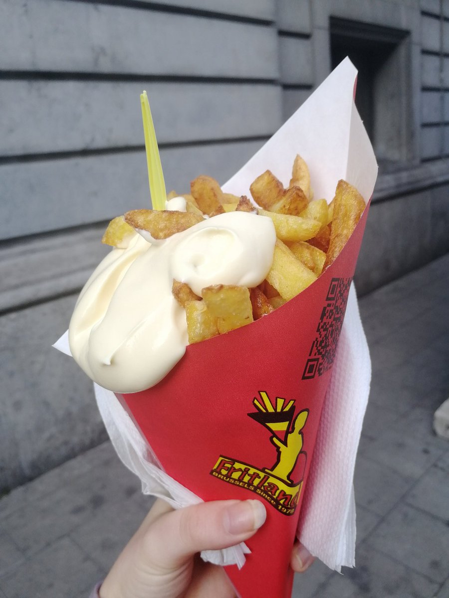 WorldMeetChloe's tweet photo. Landed in Brussels and our afternoon consisted of frites, beer and a pretty amazing walking tour thanks to @neweuropetours. A pretty perfect start if you ask me. 🍟🍺😊 https://t.co/pQUxUu9xET