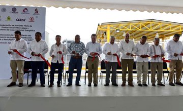 Ver imagen en Twitter