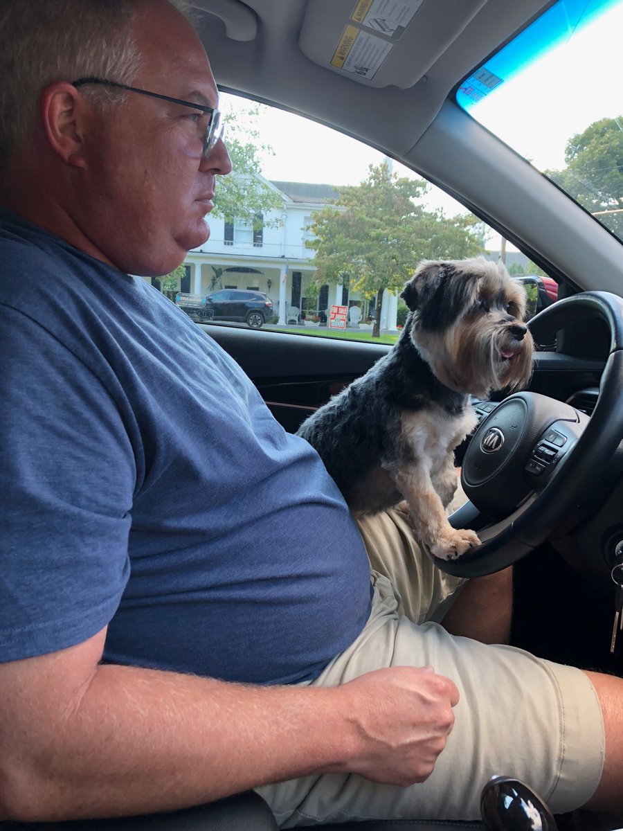 KentuckyRoda's tweet photo. Teddi take the wheel. #dogdrive https://t.co/Rqwax1OhVR