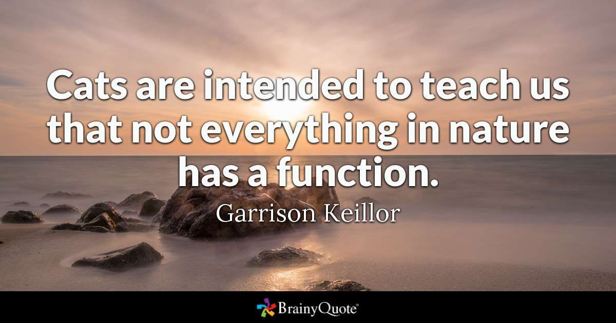pets_forever's tweet photo. Cats are intended to teach us that not everything in nature has a function.

#RETWEET #like #followforfollow #likeforfolow #follo4follo #FolloForFolloBack #followback #FollowGain #AUTOFOLLOWBACK #WantMoreFollowers #InstantFollow https://t.co/HKYEt7ZwRL