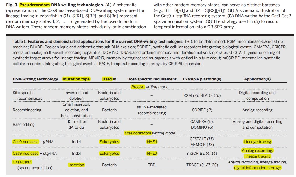 westr's tweet photo. NICE REVIEW: Emerging applications for DNA writers and molecular recorders @sciencemagazine https://t.co/uwSbv0jx6u #synbio #DNAwrite #Cas9 https://t.co/TJoEJgvbqY