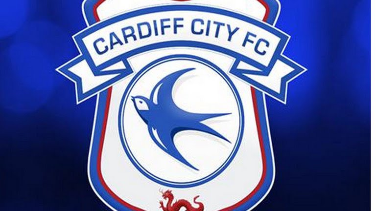 CCFCdevelopment tweet picture