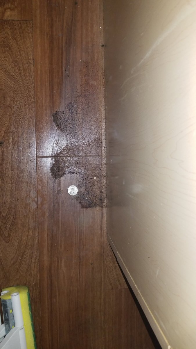 muftak3's tweet photo. @ExtendedStay Never stay here in @LasVegas. It's the most disgusting place in the world.If you like mold growing on your floor, bed bugs. Rashes all over your body.If you like cum stains on your sheets,than this is the place to stay.Need dishes? Not here. Want a call back? No way https://t.co/FjGPTdWxX7