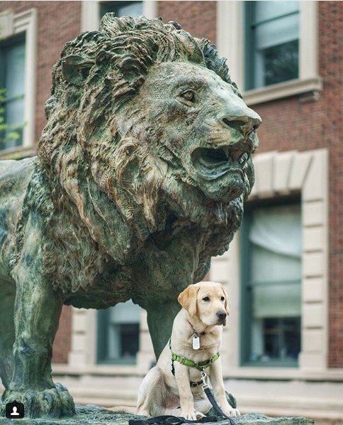 Are you Alma? Scholars Lion? The Curl? Take this fun <a href="/ColumbiaAlumniA/">ColumbiaAlumniAssoc</a> quiz and we'll tell you which iconic Columbia landmark you are. ow.ly/O4zN30lCAxA
