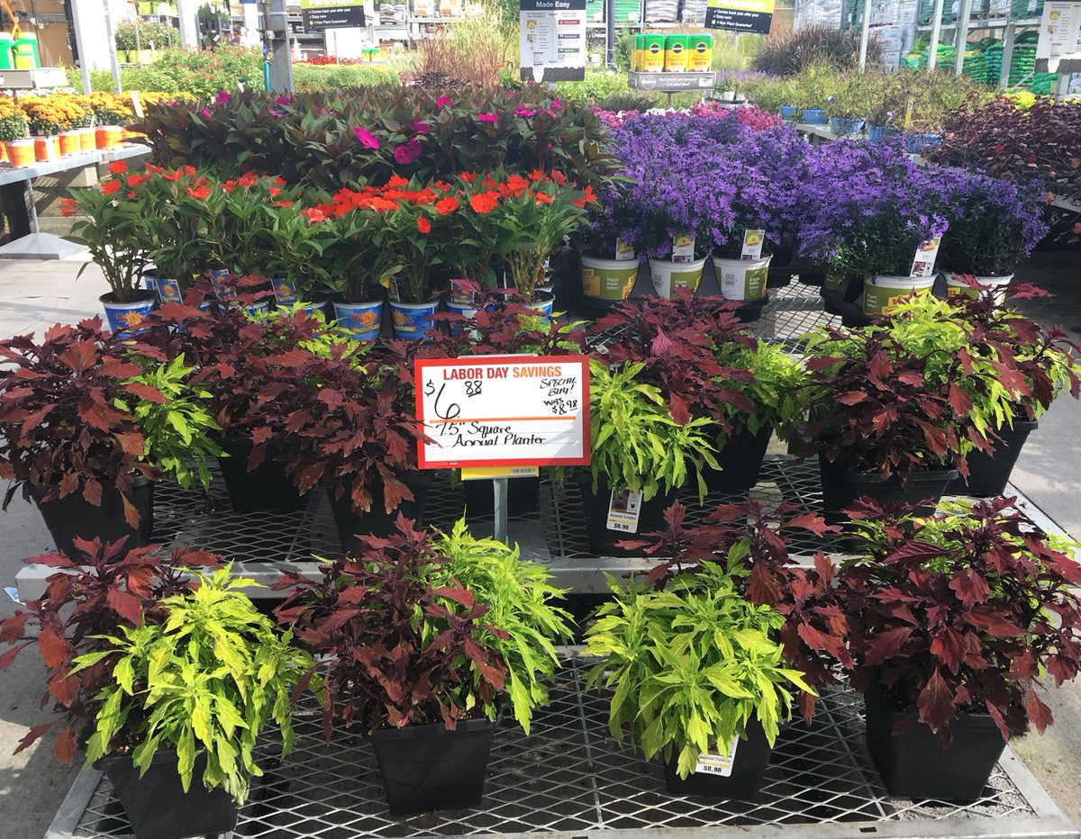7Karthur's tweet photo. 🍁Lenoir City Home Depot is Labor Day weekend ready!🍁 #HD740 @jaybisping @Jaydeckard @CamDaven @GuinnJeff #TheGreenTeam https://t.co/yyXer4khp6