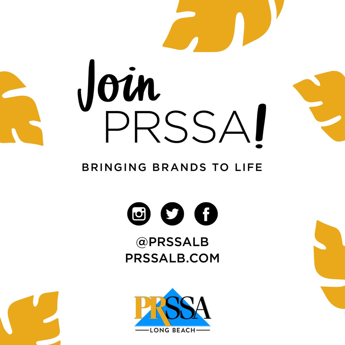 CSULBJPR's tweet image. Have you heard about PRSSA Long Beach? They are a national public relations organization that offer workshops, guest speakers, career tours and more! 
Follow @prssalb to learn 
more information on how to join. 🌟
#PRSSALB #CSULBJPR #PublicRelations #PRSSA #Networking