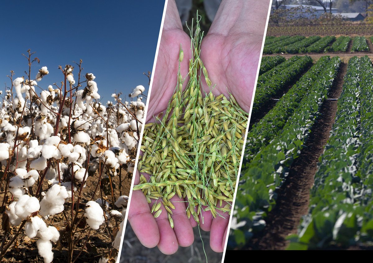 We are excited to announce our new partnership with <a href="/FFNAustralia/">FutureFarmersNetwork</a>

To celebrate the partnership, we'll be offering 10% off all our programs for FFN members until 30 October.

These programs include our:
- Agri-Business 12 Week Fast-Track Program
- Elevate, our new Online Program