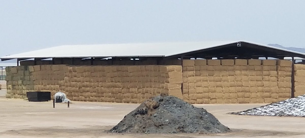 FeedThor's tweet image. Got Hay? We know how tough and time consuming counting hay can be! Partner with us for a simplified solution that’s accurate, saves you time &amp;amp; money! #gottime #hay #feed #farm #farms #farming #cow #cows #harvest #farmlife #counting #inventory #dairyfarm #forage #silage #thorfeed