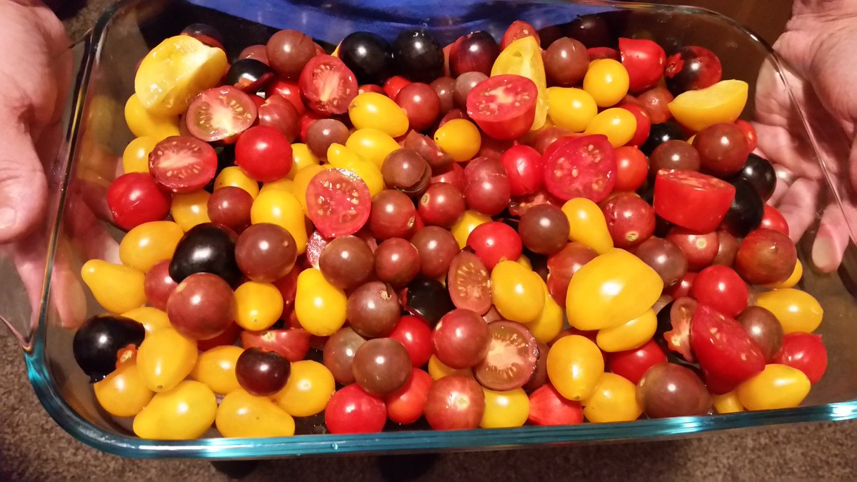 mksboxofrain's tweet photo. #HarvestTime 
All the different kinds of cherry tomatoes we grew this year look so beautiful together! 😍 https://t.co/8irfgS6DiF