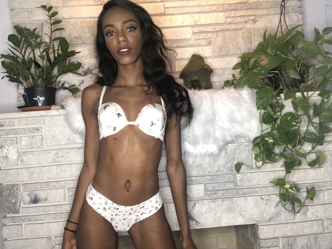 welcome to the garden. https://t.co/L0OW3JnVNh