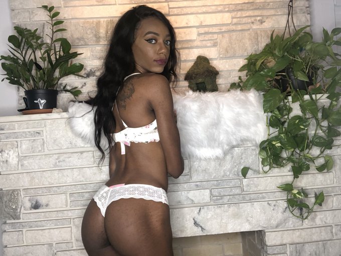 welcome to the garden. https://t.co/L0OW3JnVNh