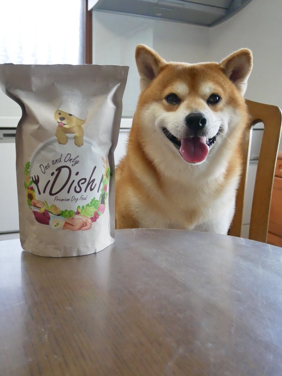 柴犬べりやん Idishさんの無添加フードに変えてみた 主成分 生命の木とも言われるモリンガ 主成分 2種類の乳酸菌 3種類のオリゴ糖 めちゃ体に良さそう 食い付きも良かったよ T Co Gqa7lqn9gz Idish ドッグフード 無添加フード
