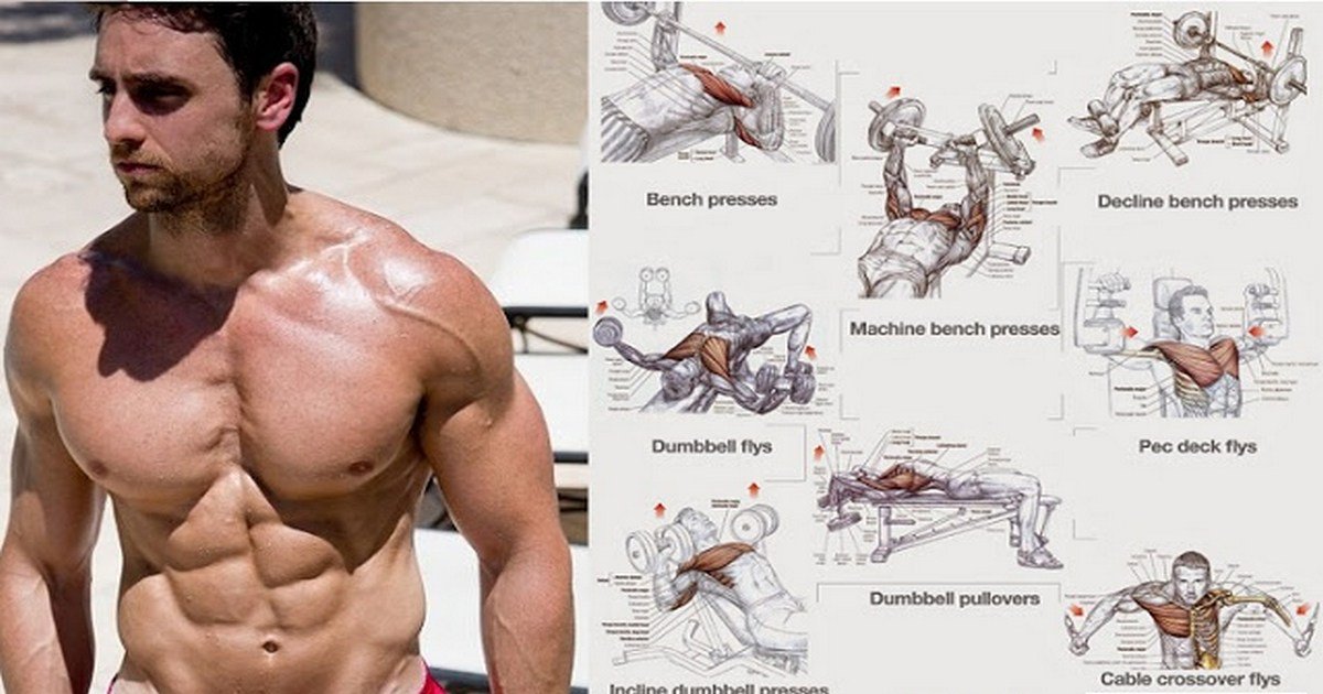 fitnesshacks247's tweet photo. Top 4 Workouts For Chest and Muscle Building
#WorkoutTips #Workoutguide #Workoutsuggestions #fitnesshacks #Workouthacks #chestworkout #muscleWorkout #MuscleBuilding #ChestBuilding #WorkoutChallenge #bodybuildingguide #bodybuildingChallenge #FitnessChallenge #FitnessGuide https://t.co/sh71wg97m5