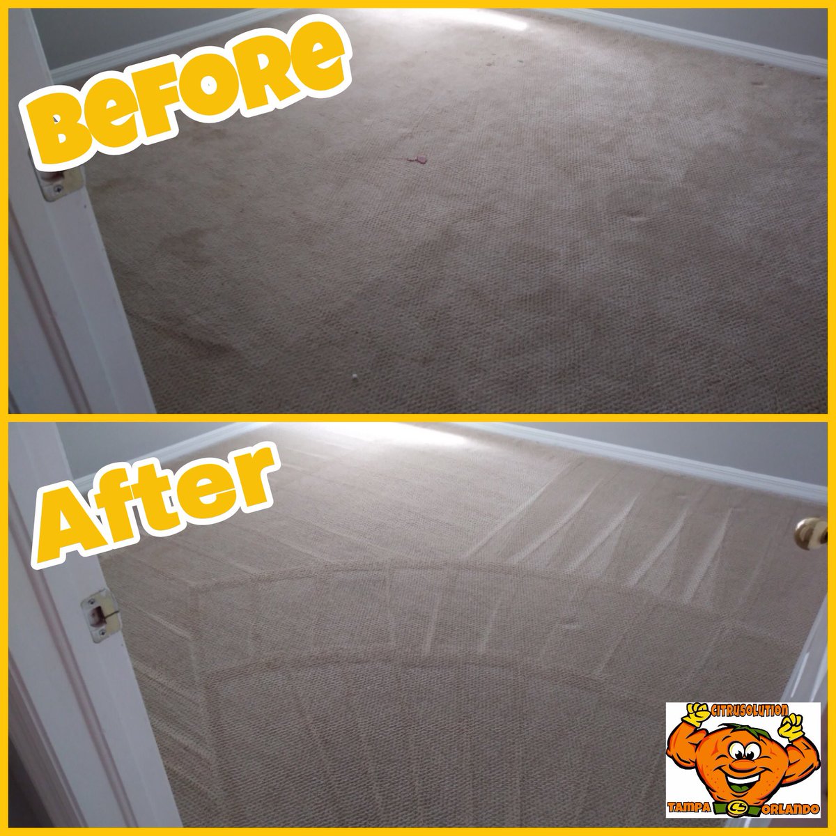 McCitrusolution's tweet image. #CitruSolution #Carpet &amp;amp; #Upholstery #Cleaning Of #Tampa &amp;amp; #Orlando #Florida