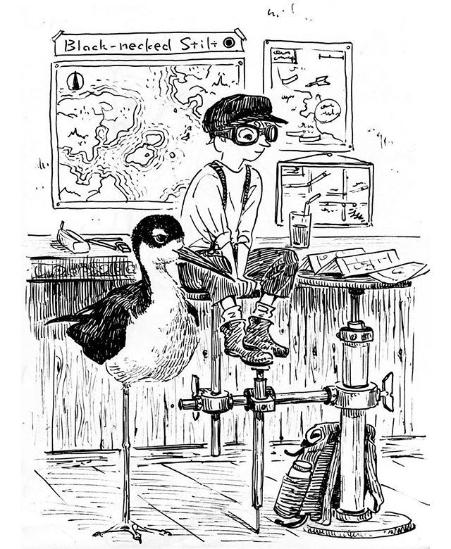 ハートヘッド アニメ練習中 A Twitter クロエリセイタカシギの冒険家 Illust Illustration Artwork Drawing Pen Pendrawing Birds Characterdesign Sketch Artwork Design Monochrome Friends Love Blackneckedstilts イラスト スケッチ ペン画 鳥