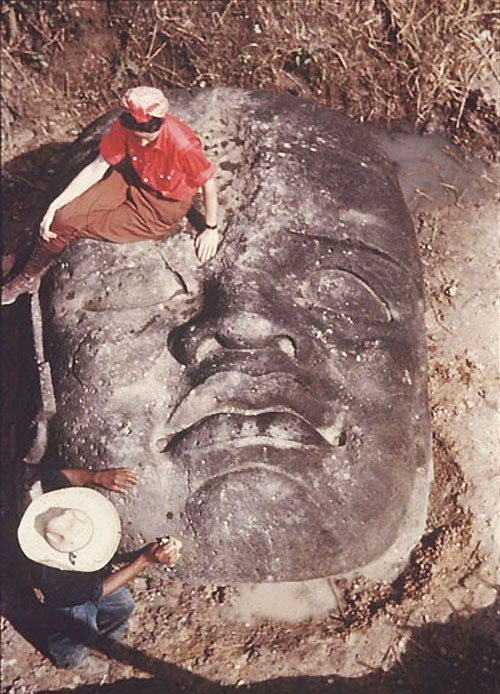 Cabeza colosal olmeca encontrada en San Lorenzo Tenochtitlán #Veracruz en 1945. En total han sido halladas 16 cabezas colosales olmecas. Algunas llegan a pesar hasta 50 toneladas! #mesotuits (Foto: Richard H. Stewart) @