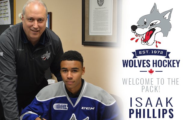 Sudbury Wolves tweet media