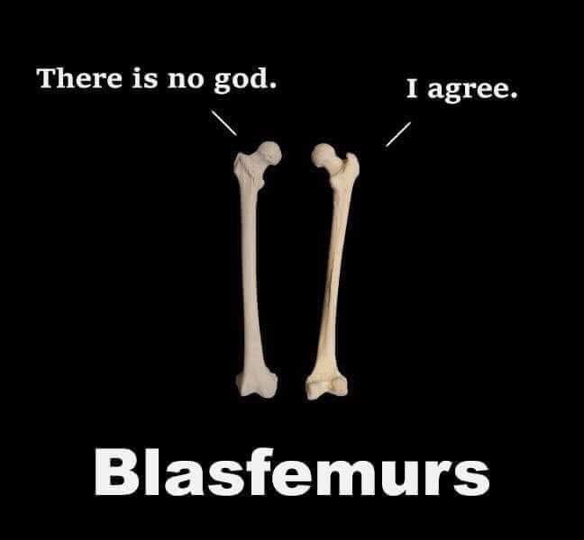 rdfrs's tweet photo. Blasphemy: It’s in our bones. https://t.co/byBkcOByDe