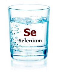 CliniNephrology's tweet photo. #Interesting Hemodialysis Patients With Low Selenium Levels More Likely to #Die!!!!
Get to know more updates on Nephrology on our journal at https://t.co/n0VK3YhhV0 https://t.co/Ji2IskdwUT