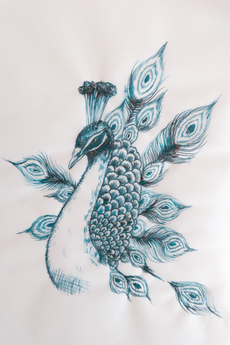 はるはな 色彩雫孔雀でクジャクを描いてみた 色彩雫 Iroshizuku Iroshizukuink インク Ink イラスト Illust T Co 5svelugyms Twitter