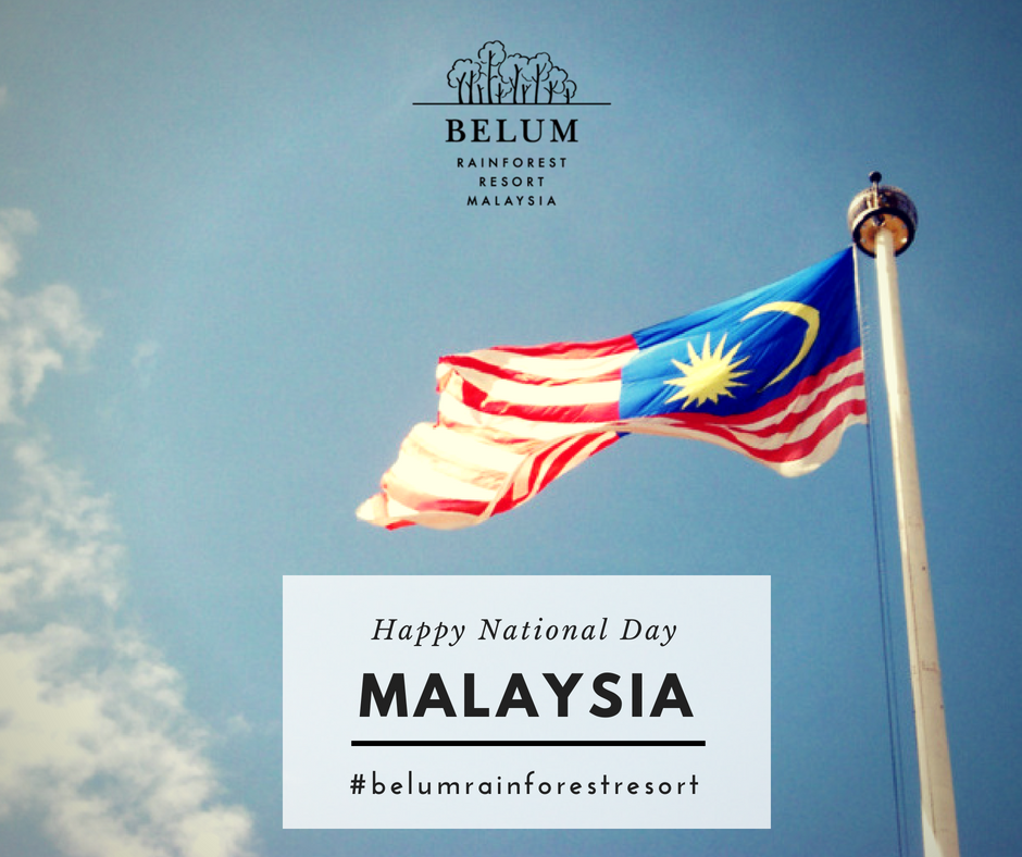BelumRainforest's tweet photo. Happy National Day, Malaysia! 🇲🇾 #SayangiMalaysiaku #proudtobemalaysian #belumrainforestresort https://t.co/tg9Kpmgd25