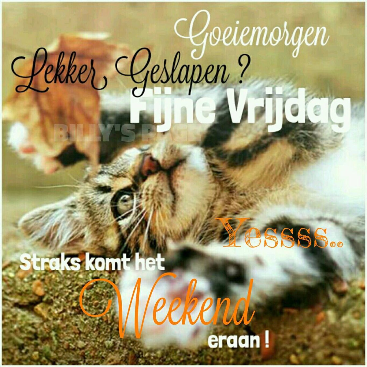 Fijne vrijdag | Goedemorgen vrijdag, Vrijdag, Goedemorgen