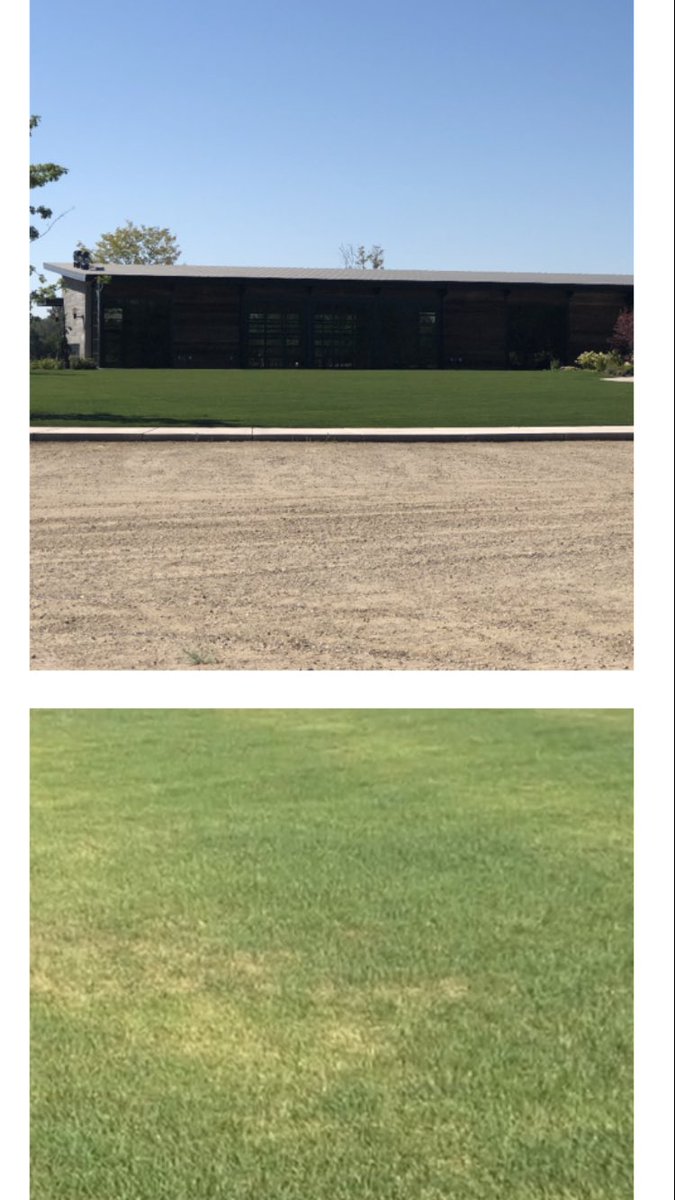traviserose11's tweet image. #Simplotpartners specialty at work. Same Property month and half apart. 24-0-0 eco N, duraphite, and Rapture 4-0-4 was a great combo