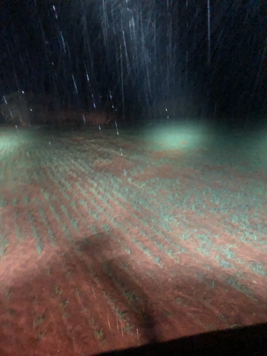 lukefarmerkenny's tweet photo. Good to get a contracted spray application of #easyN and #salsa out last night just as the rain started #partoftheservice https://t.co/oCuF468tQI