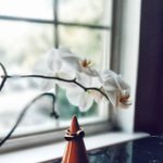 Photo by Sabun Home (@SabunHome)