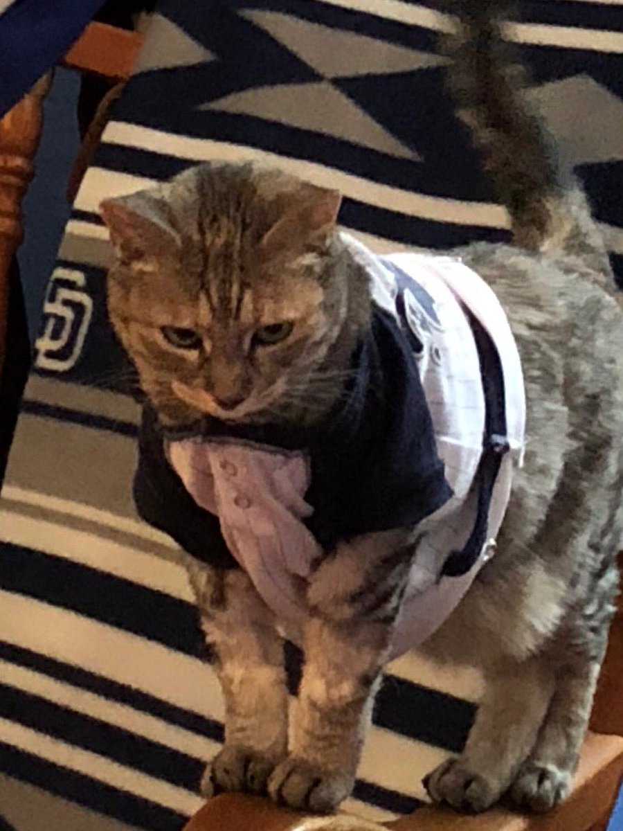 coach_B_rain's tweet photo. #PadresPets https://t.co/f55iUqfWRl