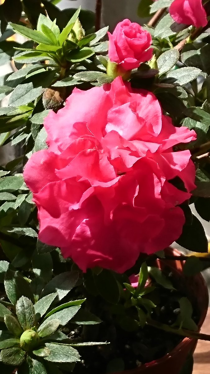 keika♒️🤗💓😸 tweet media