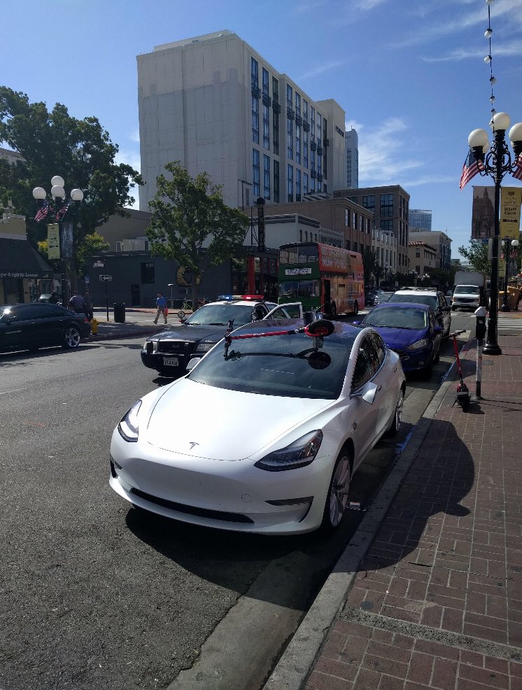 manishsingh's tweet image. Poor #bird can’t fly