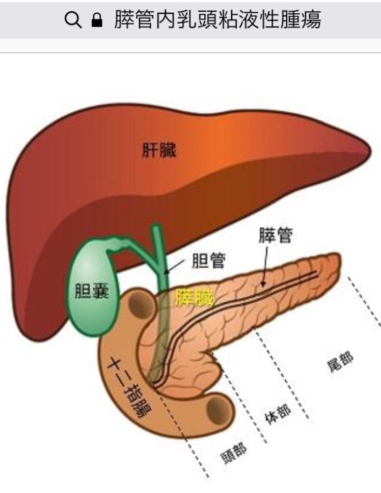 ない 腫瘍 いかん うと す にゅ うねん えき cjjc/www.dfe.millenium.inf.br at