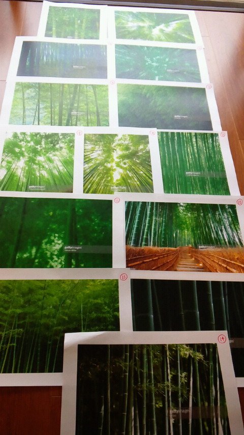 anjmyh's tweet photo. 中谷彰宏『しがみつかない大人になる63の方法』(きずな出版)
のカバー用写真案から、この写真を中谷彰宏は選択しました。
「しがみつかない大人」が、この先に住んでいそう。 https://t.co/omsXIPDuwO