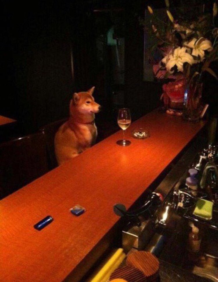 MidgeSmitty's tweet photo. Her date didn’t show up... https://t.co/wNjDt0pfnu