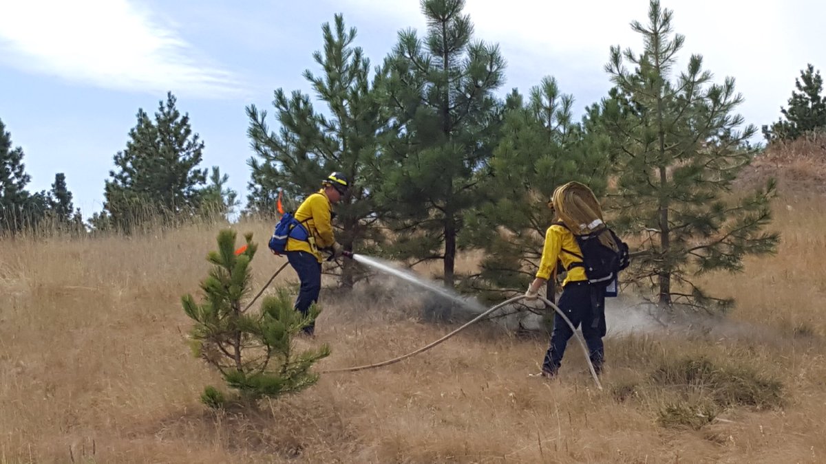 Helenafire_L448's tweet photo. Today we held a mock wildland fire in the south hills. Given the rain we have had, this could still be a real life scenario! The grass doesn’t retain moisture if it’s dead! https://t.co/LerYDyDIjr