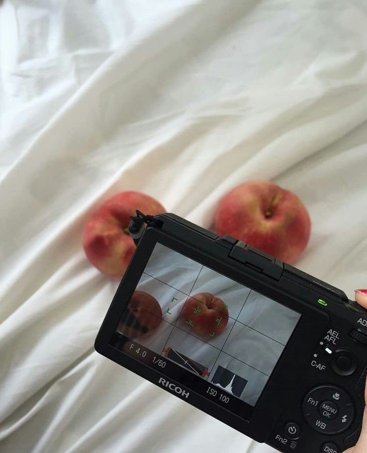 _phobiary_ tweet media