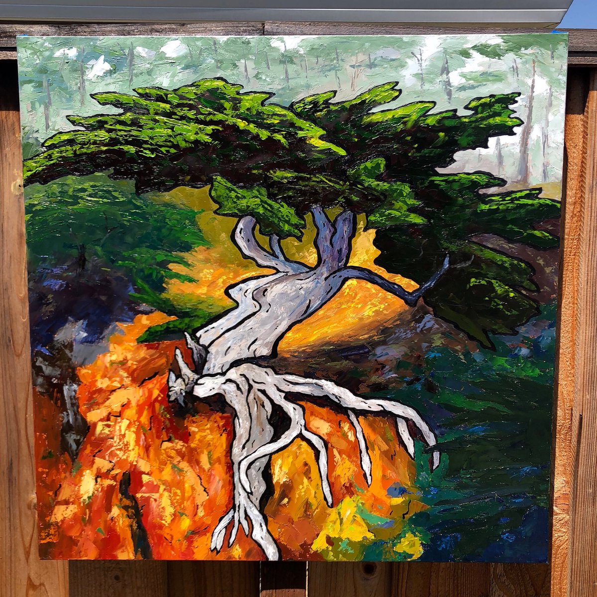 Just finished this #OilPainting of the Monterey Cypress called “Old Veteran” which hangs on a cliff side in Point Lobos.  #paletteknife #fineart #californiaartist #Pointlobos #artbusiness #PebbleBeach #artgallery #fauvism #studiolife