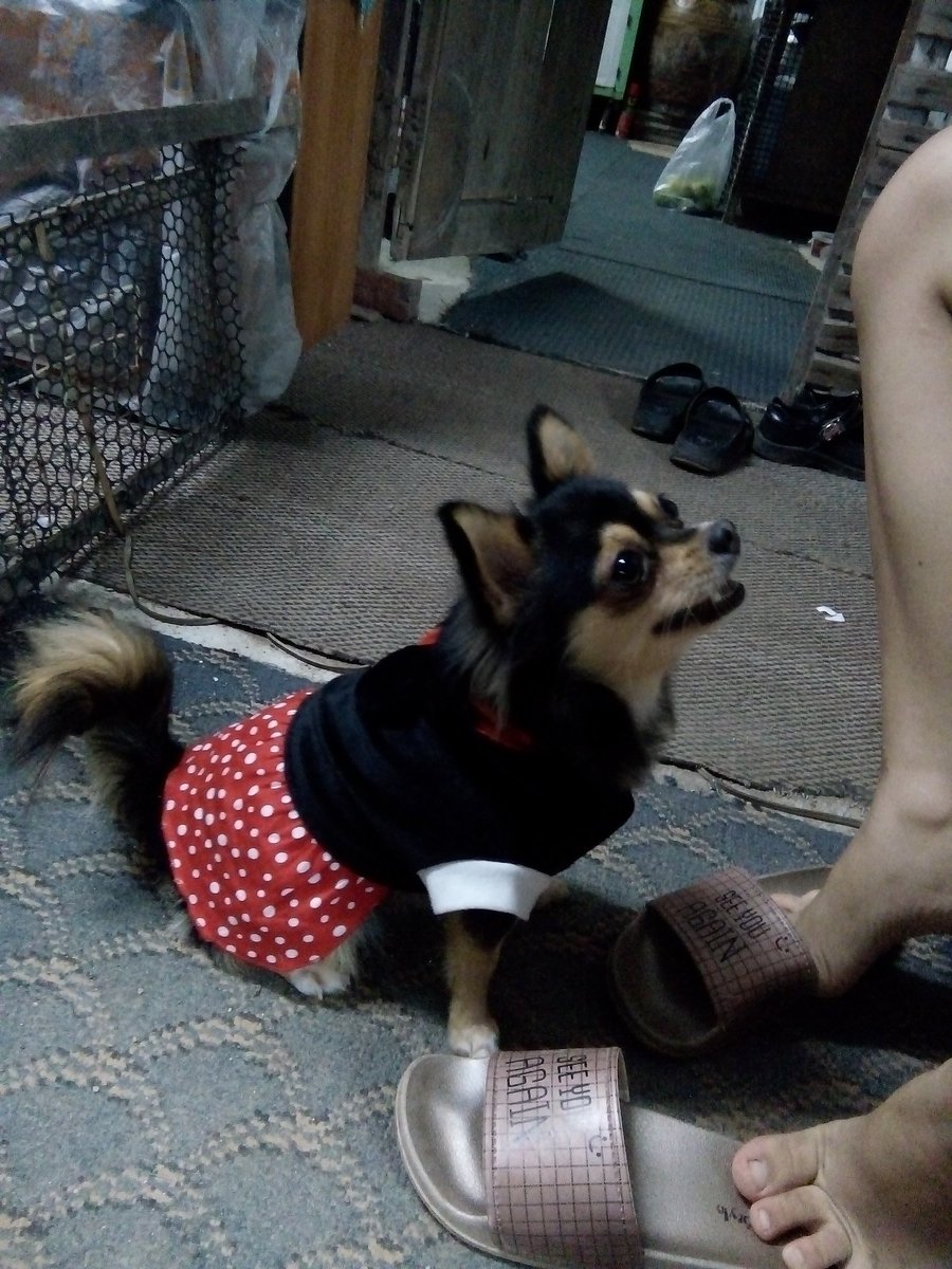 Minimum52279575's tweet photo. นว้องงงงงหวหหกมกใกว ไม่ไหวแล้วฮือ น่ารักเกินไปแล้ว ใจเต้นไม่เป็นจังหวะมแวปวปืวหวกสใแววแพสาะสกว https://t.co/CGkuEEjhGh
