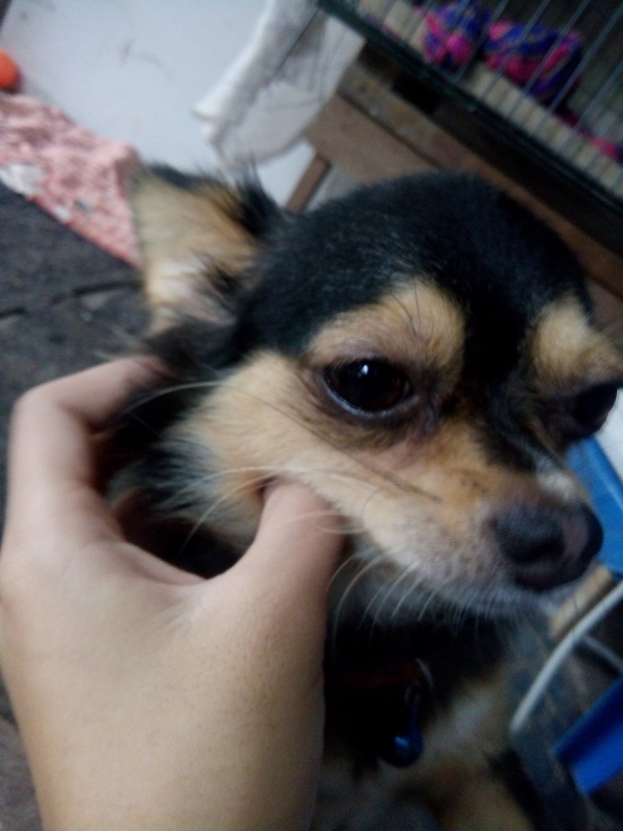 Minimum52279575's tweet photo. นว้องงงงงหวหหกมกใกว ไม่ไหวแล้วฮือ น่ารักเกินไปแล้ว ใจเต้นไม่เป็นจังหวะมแวปวปืวหวกสใแววแพสาะสกว https://t.co/CGkuEEjhGh