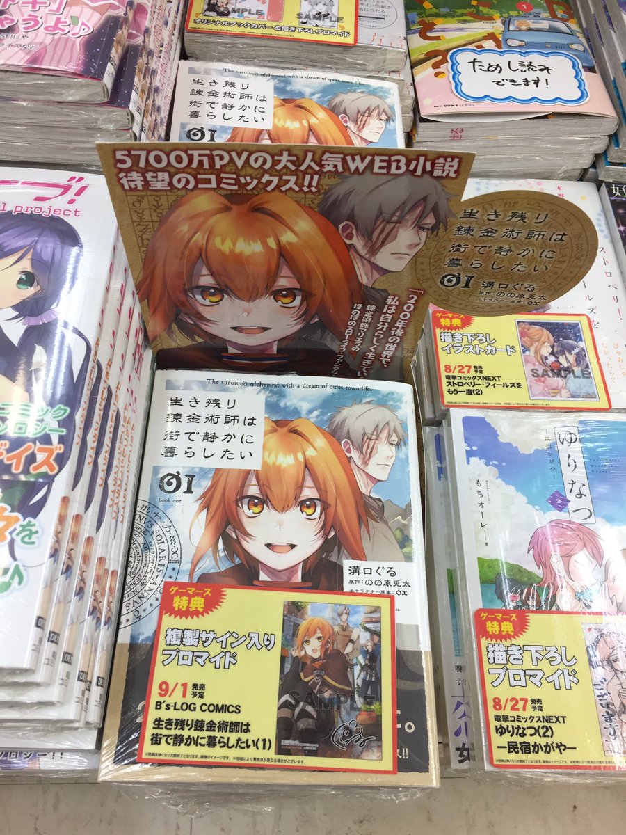 生き残り錬金術師は街で静かに暮らしたい 生き残り錬金術師は街で静かに暮らしたい