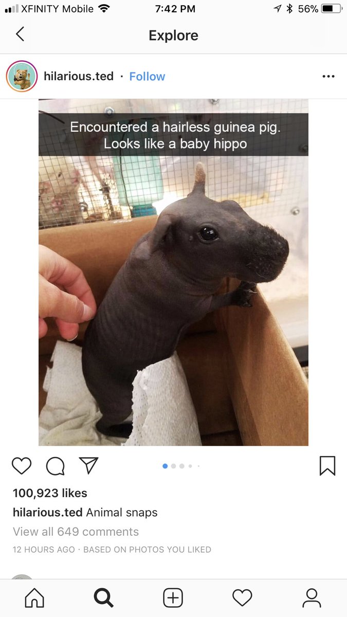 Holy shit! Gunna get one for my goomah. Looks like my fn hog after I pay those Asian whores ta give me a good scrubbin.