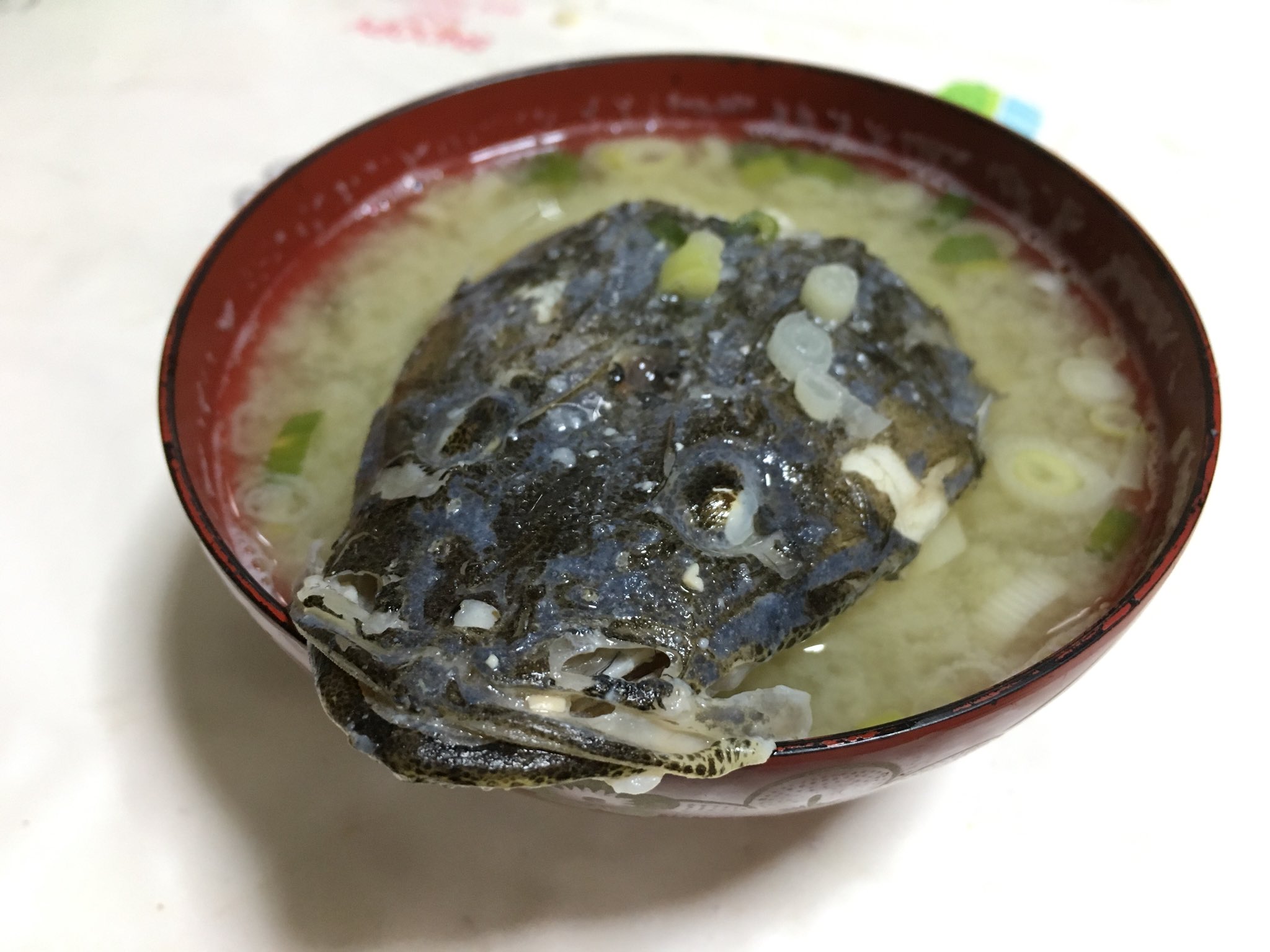 小坂泰之 最新8巻11 18発売 ひなが卒倒するマゴチのみそ汁作りました ダシがよく出てておいしかったです T Co Uy0a8mwjo9 Twitter