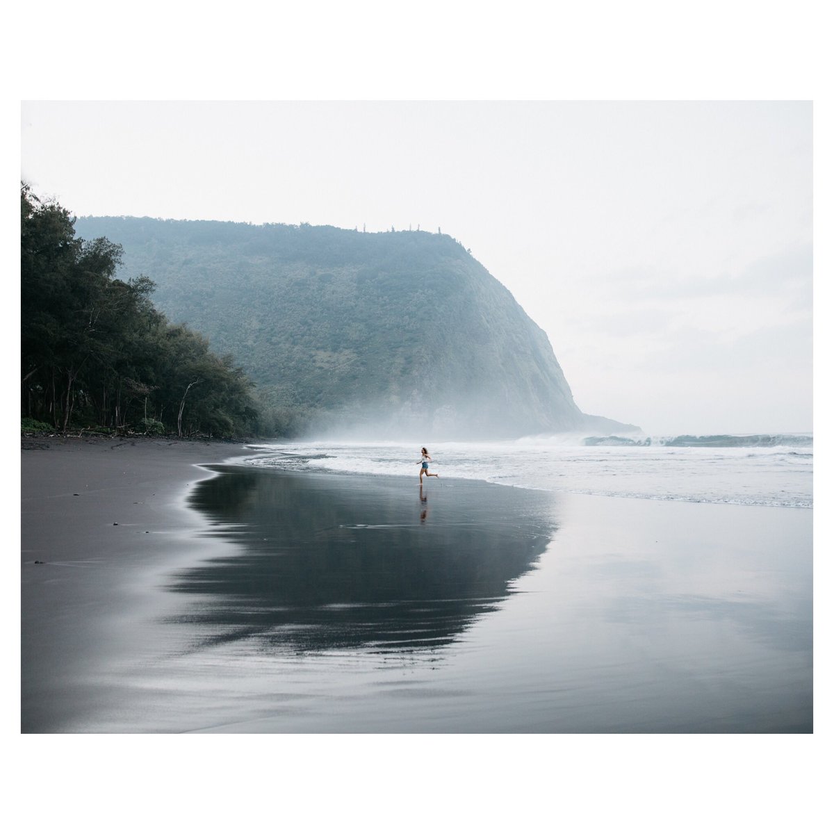 Andrew Kearns tweet media