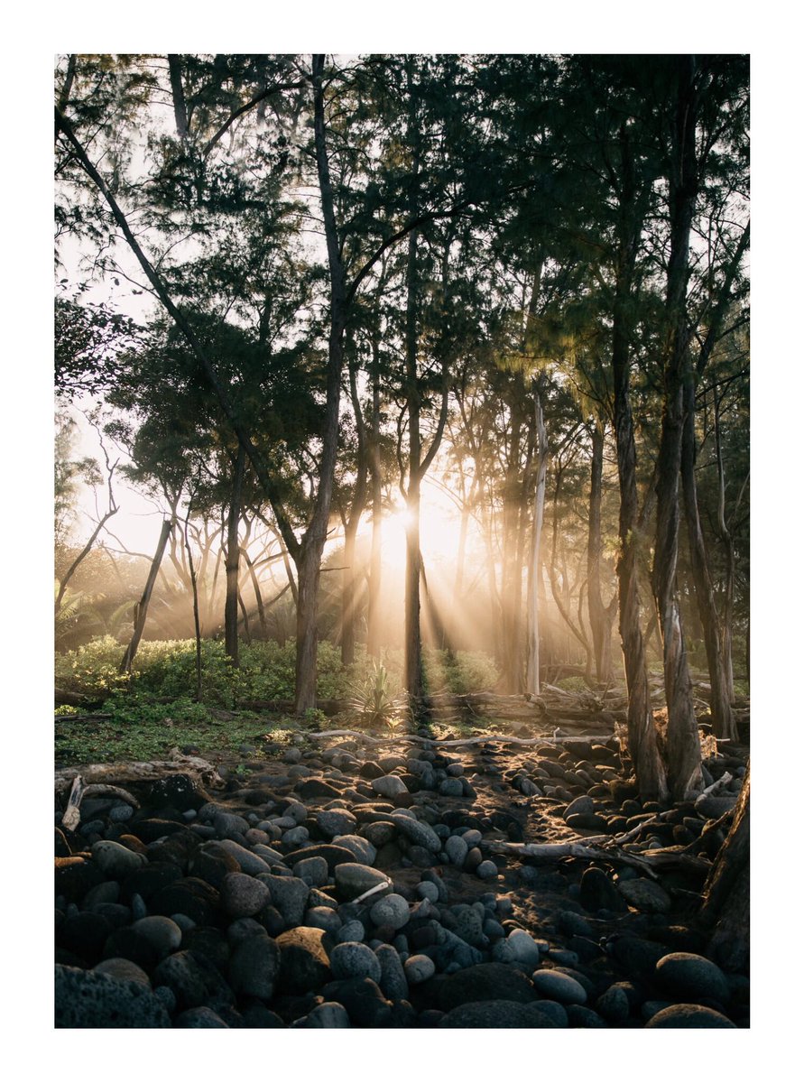 Andrew Kearns tweet media